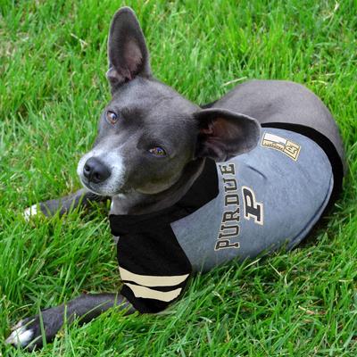 Show full view: Pets First NCAA Purdue Dog & Cat Hoodie Tee Shirt, Small slide 4 of 6