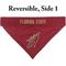 Show in main carousel: Pets First NCAA Reversible Dog & Cat Bandana, Florida State Seminoles, Large/X-Large slide 2 of 6