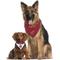 Show in main carousel: Pets First NCAA Reversible Dog & Cat Bandana, Florida State Seminoles, Large/X-Large slide 4 of 6