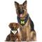 Show in main carousel: Pets First NCAA Reversible Dog & Cat Bandana, Michigan Wolverines, Small/Medium slide 4 of 6
