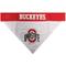 Show in main carousel: Pets First NCAA Reversible Dog & Cat Bandana, Ohio State Buckeyes, Small/Medium slide 2 of 7