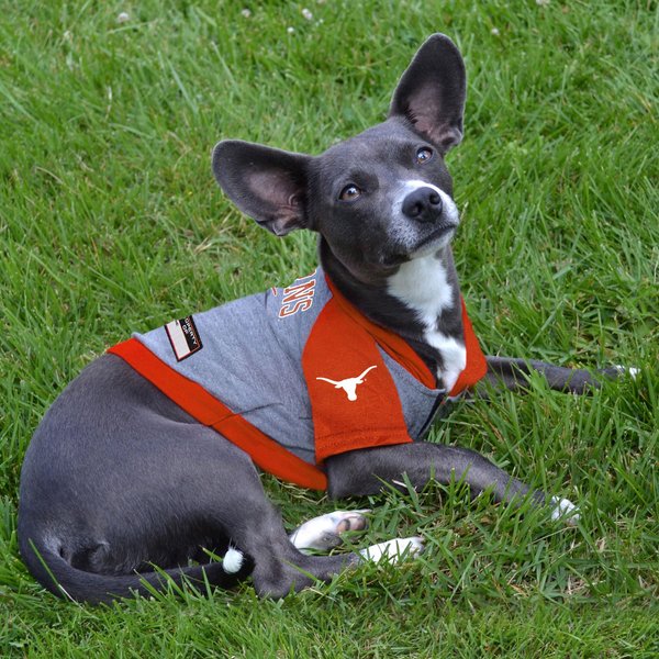 Show full view: Pets First NCAA Texas Dog & Cat Hoodie Tee Shirt, Large slide 4 of 6