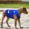 Show in main carousel: Pets First NFL Buffalo Bills Dog & Cat Soothing Solution Vest, Large slide 4 of 5