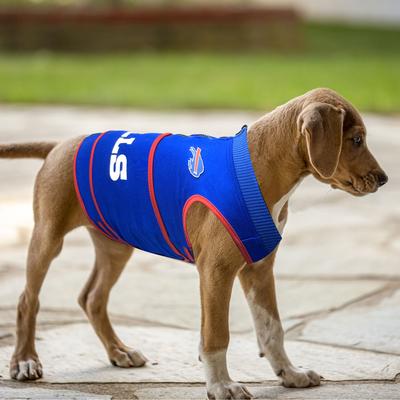 Show full view: Pets First NFL Buffalo Bills Dog & Cat Soothing Solution Vest, Large slide 4 of 5