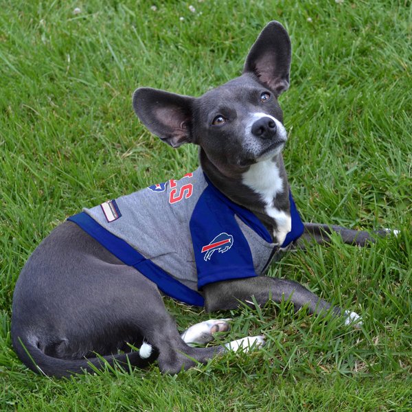 Show full view: Pets First NFL Buffalo Bills Hoodie Dog & Cat Tee Shirt, Medium slide 4 of 6