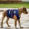 Show in main carousel: Pets First NFL Chicago Bears Dog & Cat Soothing Solution Vest, Large slide 4 of 5