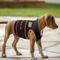 Show in main carousel: Pets First NFL Cincinnati Bengals Dog & Cat Soothing Solution Vest, Medium slide 4 of 5