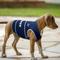Show in main carousel: Pets First NFL Dallas Cowboys Dog & Cat Soothing Solution Vest, Small slide 4 of 5