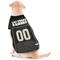 Show in main carousel: Pets First NFL Dog & Cat Mesh Jersey, Las Vegas Raiders, Large slide 4 of 7