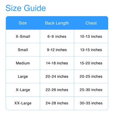 Show full view: Pets First NFL Dog & Cat Mesh Jersey, Las Vegas Raiders, Medium slide 3 of 8