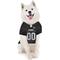 Show in main carousel: Pets First NFL Dog & Cat Mesh Jersey, Las Vegas Raiders, XX-Large slide 5 of 7