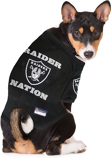 Show full view: Pets First NFL Dog & Cat Raglan Jersey, Las Vegas Raiders, Large slide 4 of 5