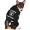 Show in main carousel: Pets First NFL Dog & Cat Raglan Jersey, Las Vegas Raiders, Large slide 4 of 5