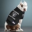 Show in main carousel: Pets First NFL Dog & Cat Raglan Jersey, Las Vegas Raiders, Large slide 3 of 5