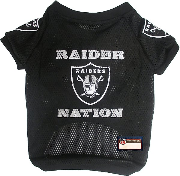 Pets First NFL Dog & Cat Raglan Jersey, Las Vegas Raiders