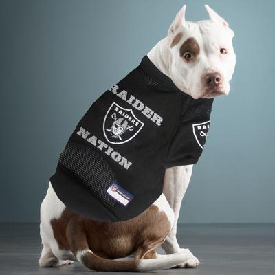 Show full view: Pets First NFL Dog & Cat Raglan Jersey, Las Vegas Raiders, X-Large slide 4 of 6