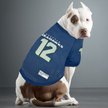 Show in main carousel: Pets First NFL Dog & Cat Raglan Jersey, Seattle Seahawks, Small slide 4 of 5