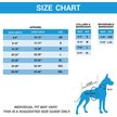 Show in main carousel: Pets First NFL Dog & Cat Raglan Jersey, Seattle Seahawks, Small slide 3 of 5