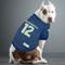 Show in main carousel: Pets First NFL Dog & Cat Raglan Jersey, Seattle Seahawks, X-Large slide 4 of 5