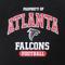 Show in main carousel: Pets First NFL Dog & Cat T-Shirt, Atlanta Falcons, Large slide 5 of 7