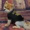 Show in main carousel: Pets First NFL Dog & Cat T-Shirt, Baltimore Ravens, X-Small slide 3 of 6