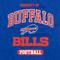 Show in main carousel: Pets First NFL Dog & Cat T-Shirt, Buffalo Bills, Large slide 5 of 7