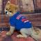 Show in main carousel: Pets First NFL Dog & Cat T-Shirt, Buffalo Bills, X-Large slide 3 of 6