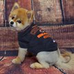 Show in main carousel: Pets First NFL Dog & Cat T-Shirt, Chicago Bears, Large slide 3 of 6
