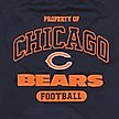 Show in main carousel: Pets First NFL Dog & Cat T-Shirt, Chicago Bears, Large slide 4 of 6