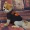 Show in main carousel: Pets First NFL Dog & Cat T-Shirt, Cincinnati Bengals, X-Large slide 3 of 6