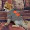 Show in main carousel: Pets First NFL Dog & Cat T-Shirt, Cleveland Browns, Large slide 3 of 6