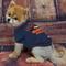 Show in main carousel: Pets First NFL Dog & Cat T-Shirt, Denver Broncos, Large slide 3 of 6
