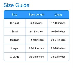 Pets First NFL Dog & Cat T-Shirt, Denver Broncos, Medium slide 2 of 4