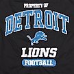 Show in main carousel: Pets First NFL Dog & Cat T-Shirt, Detroit Lions, X-Large slide 4 of 6