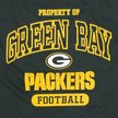 Show in main carousel: Pets First NFL Dog & Cat T-Shirt, Green Bay Packers, X-Large slide 4 of 6