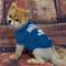 Show in main carousel: Pets First NFL Dog & Cat T-Shirt, Indianapolis Colts, Medium slide 4 of 7