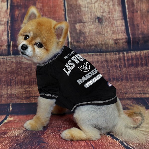 Show full view: Pets First NFL Dog & Cat T-Shirt, Las Vegas Raiders, Medium slide 2 of 5