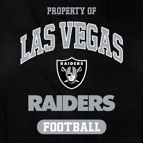 Show full view: Pets First NFL Dog & Cat T-Shirt, Las Vegas Raiders, Medium slide 3 of 5