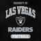 Show in main carousel: Pets First NFL Dog & Cat T-Shirt, Las Vegas Raiders, Medium slide 3 of 5