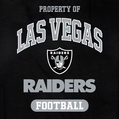 Show full view: Pets First NFL Dog & Cat T-Shirt, Las Vegas Raiders, Small slide 3 of 5