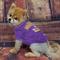 Show in main carousel: Pets First NFL Dog & Cat T-Shirt, Minnesota Vikings, Small slide 4 of 7