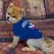 Show in main carousel: Pets First NFL Dog & Cat T-Shirt, New York Giants, Large slide 4 of 7