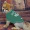 Show in main carousel: Pets First NFL Dog & Cat T-Shirt, New York Jets, Medium slide 3 of 6