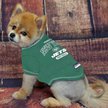 Show in main carousel: Pets First NFL Dog & Cat T-Shirt, New York Jets, X-Large slide 3 of 6