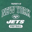 Show in main carousel: Pets First NFL Dog & Cat T-Shirt, New York Jets, X-Large slide 4 of 6