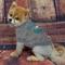 Show in main carousel: Pets First NFL Dog & Cat T-Shirt, Philadelphia Eagles, Large slide 3 of 6