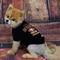 Show in main carousel: Pets First NFL Dog & Cat T-Shirt, San Francisco 49ers, Large slide 2 of 5