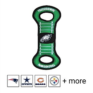 Pets First NFL Dog & Cat Raglan Jersey, Philadelphia Eagles