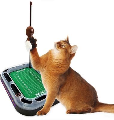 Show full view: Pets First NFL Football Field Cat Scratcher Toy with Catnip, LSU Football slide 6 of 7