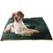 Show in main carousel: Pets First NFL Football Pillow Dog Bed, Green Bay Packers slide 5 of 8